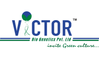 Victor Bio Genetics